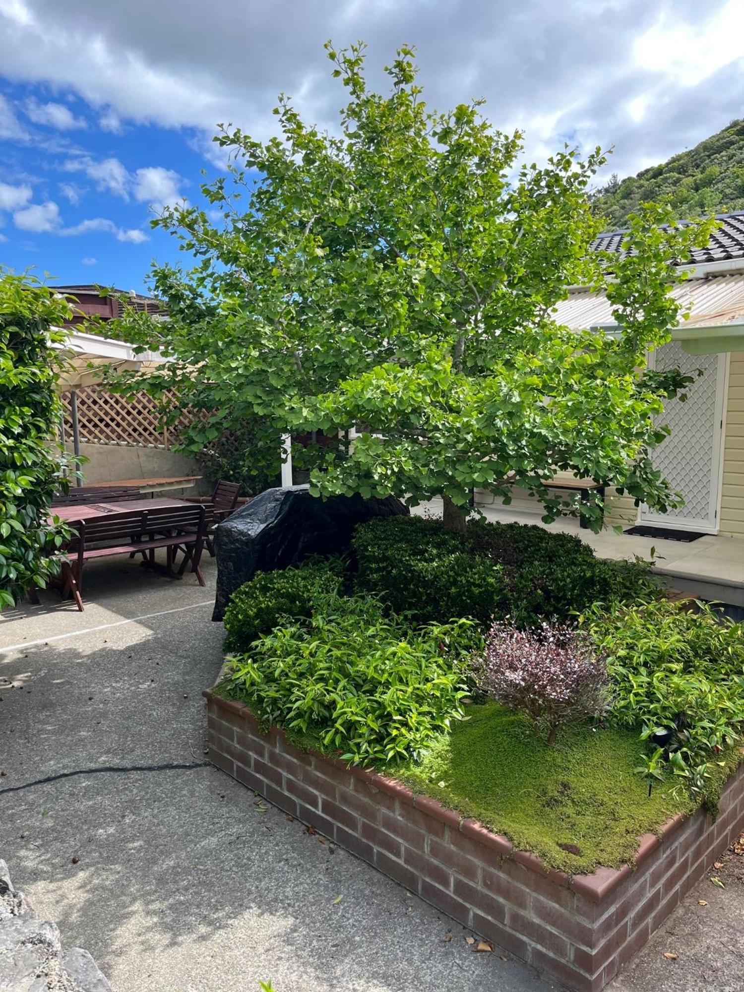 Retro 4 Bedroom Home, Warm And Welcoming, Quiet Location Porirua Luaran gambar